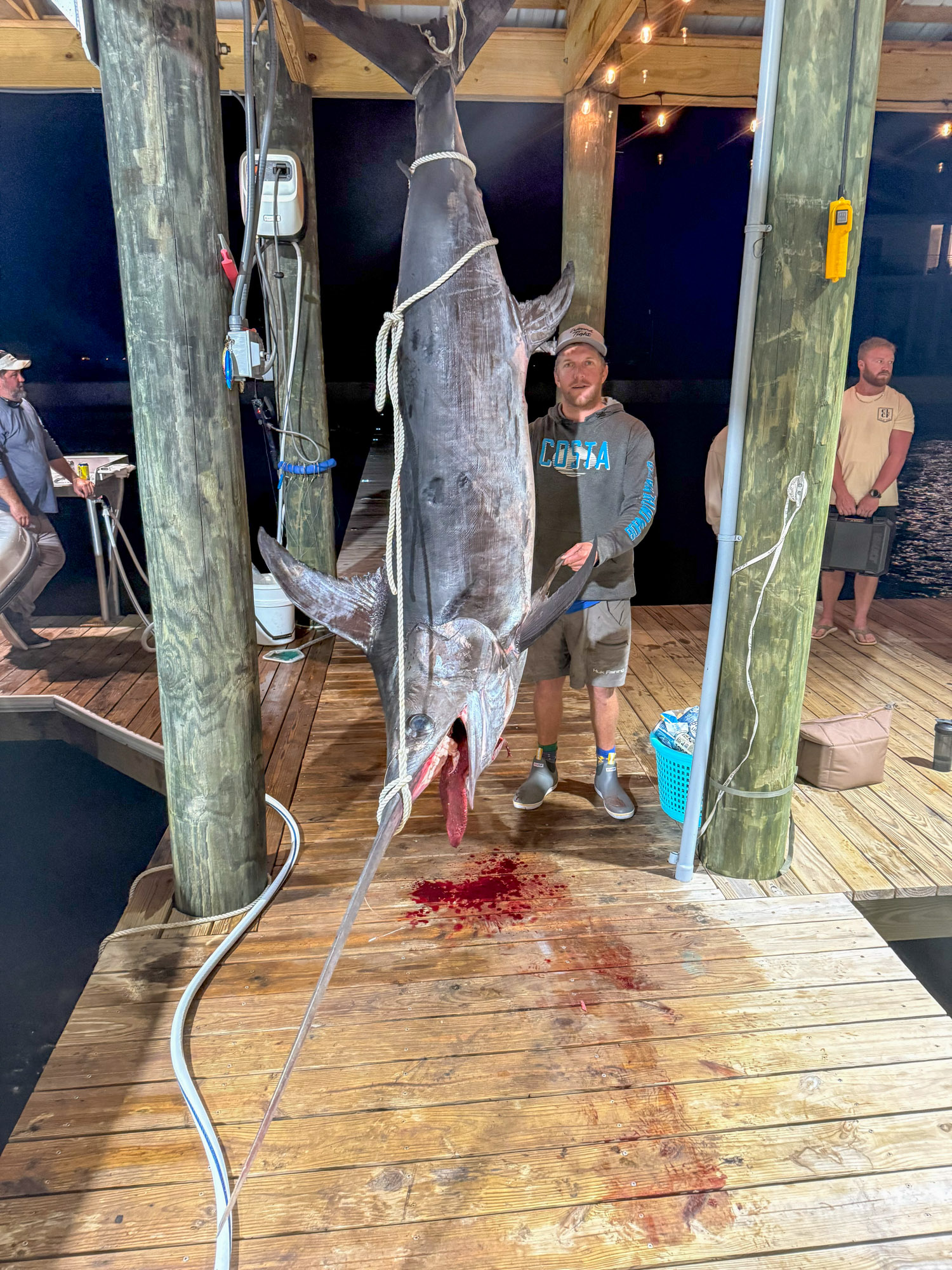 Watch: Massive Mississippi Swordfish Merely Misses State File