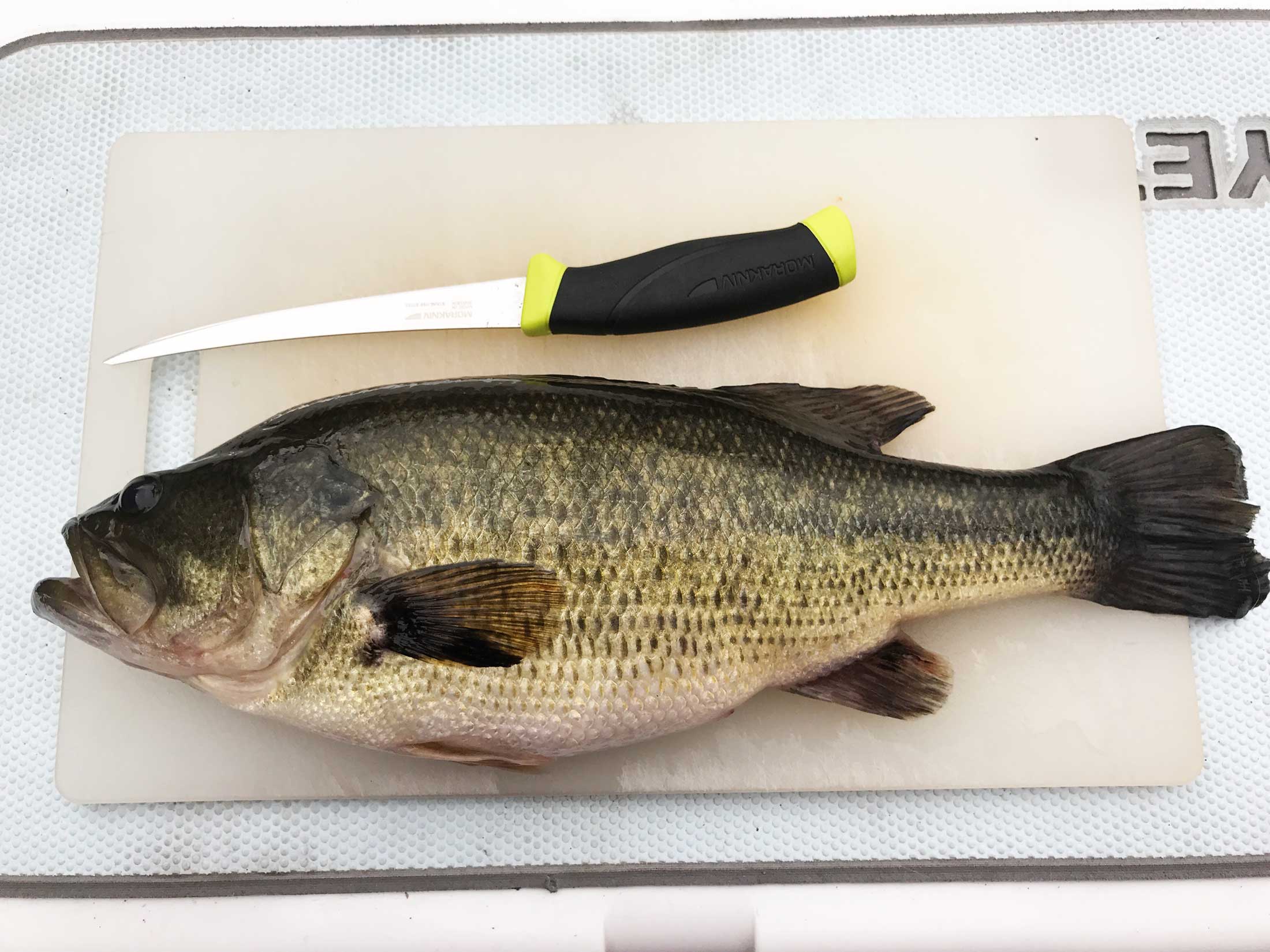 The Case for Killing Further Largemouth Bass