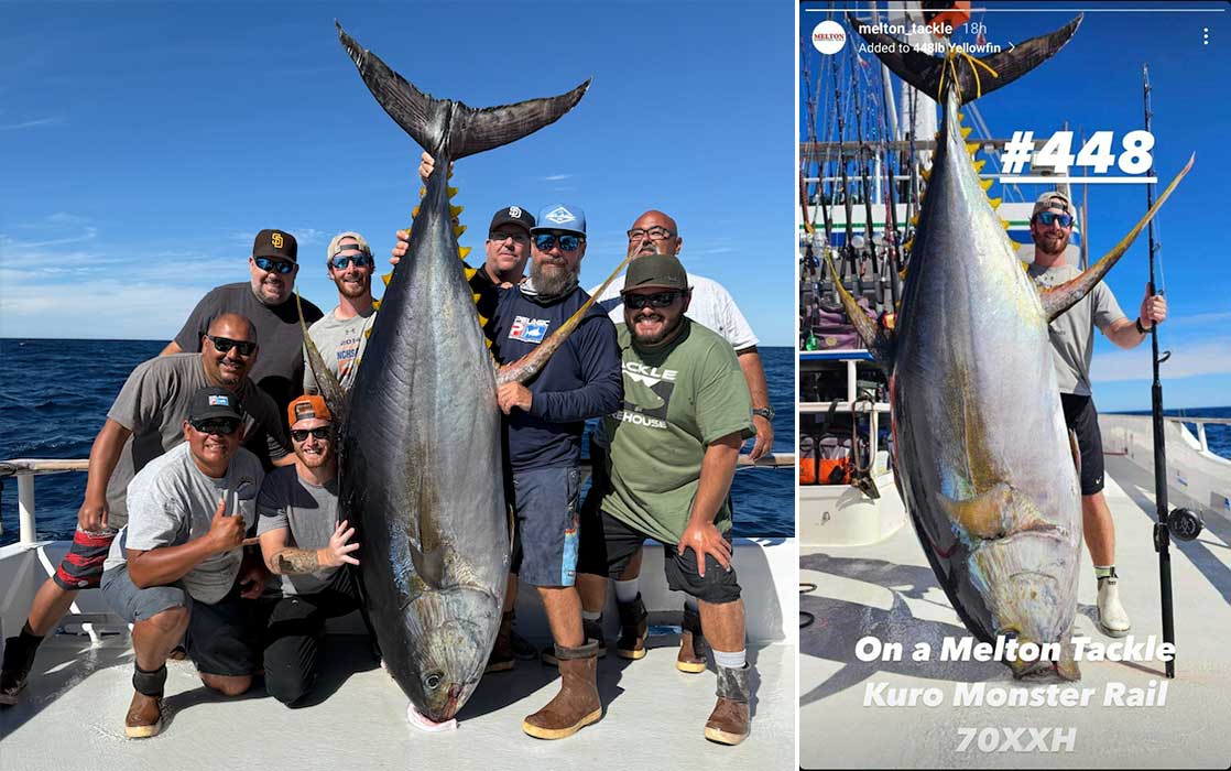 Angler Catches In all probability World Report Yellowfin Tuna Off the Coast of Southern California 