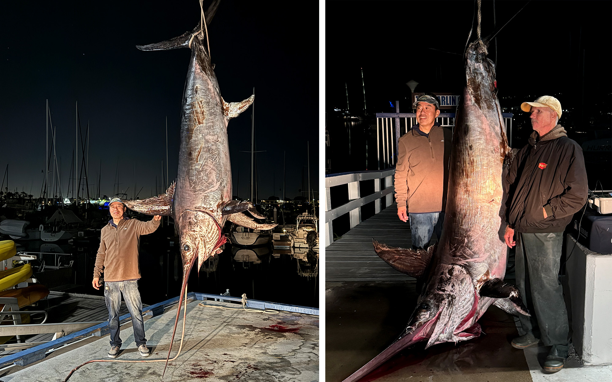 California’s New State-File Swordfish Was So Giant It Wouldn’t Match throughout the Boat