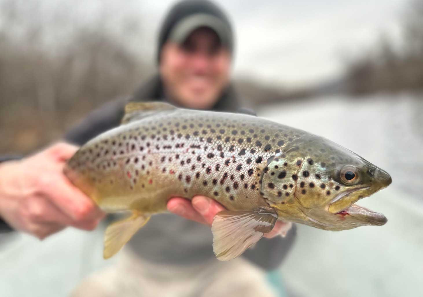 Understanding the three Sorts of Trout Streams (and Strategies to Fish Them)