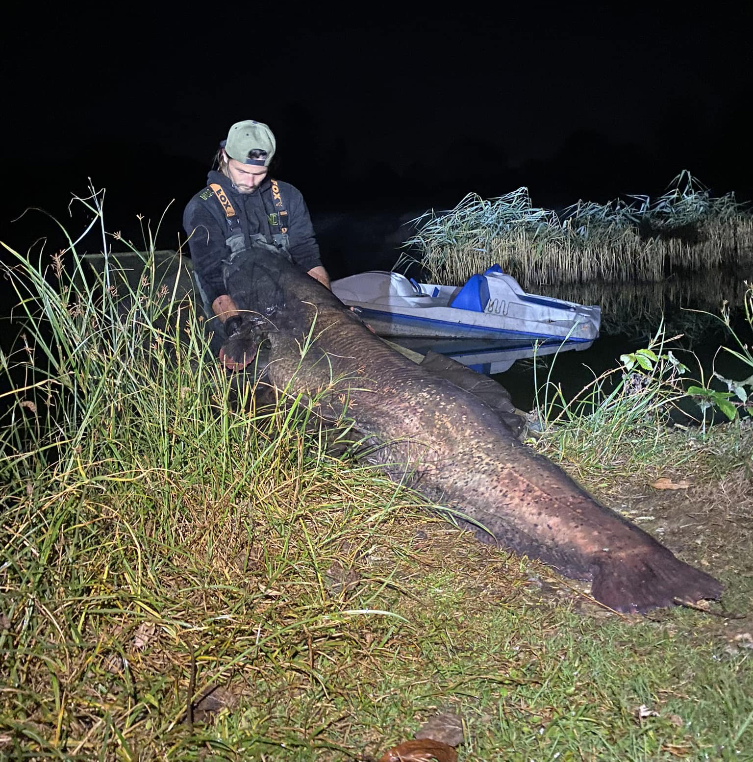 Landing This 8-Foot Catfish, In all probability the Largest Ever Caught inside the UK, Was Like ‘Strolling 12 German Shepherds’ at As quickly as